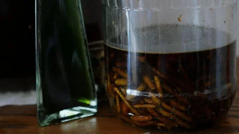 Tincture from pine shoots Stock Footage 103378627