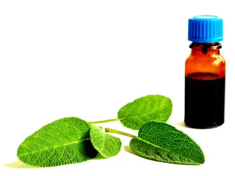 Tincture of sage Stock-Fotos