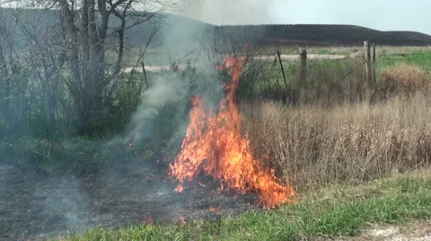 Tinder Dry Stock Footage 54754653