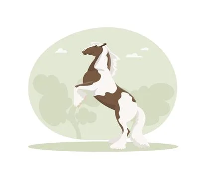 Tinker performs a trick on his hind legs Stock Illustration