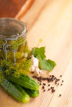 Tinned cucumbers of preparation Stock Photos