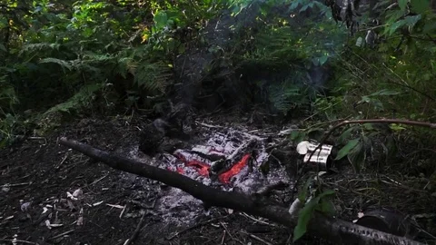 Tins at campfire Stock Footage 81662286