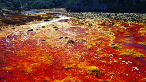 Tinto river, Huelva, Spain Stock Footage 170392067
