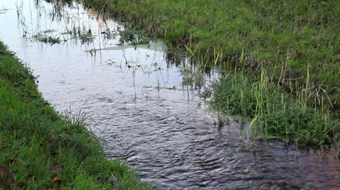 Tiny Aare in Kleindöttingen Stock Footage 32788491