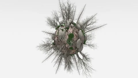 A tiny abandoned planet continues to bloom spinning on a white background Stock Footage 127692093