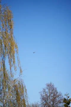 Tiny airplane in clear spring sky framed by willow Stock-Fotos