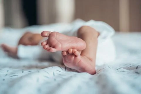 Tiny and cute Stock Photos