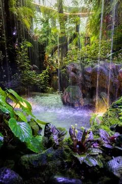 Tiny artificial waterfall ion lush vegetation and illuminated with purple light Stock Photos