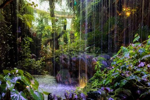 Tiny artificial waterfall ion lush vegetation and illuminated with purple light Stock Photos