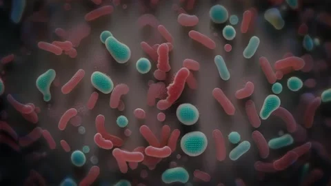 Tiny Bacteria Under A Microscope Illustration Stock Footage 286132755