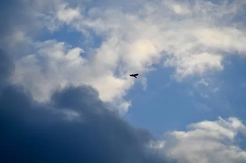 Tiny Bird in Flight Against a Dramatic Cloudy Sky Photos