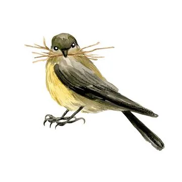 Tiny bird with some hay in its beak イラスト素材
