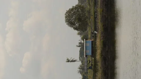 A tiny blue hut surrounded by trees and pond. Stock Footage 159943019