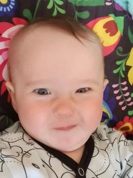 Tiny Boss Stock Photos