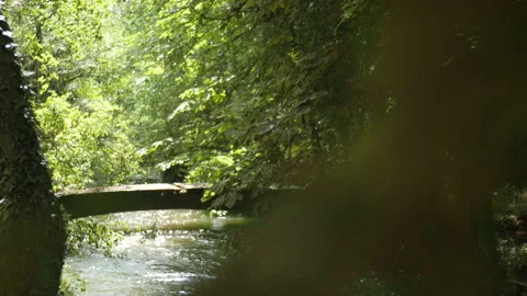 Tiny bridge  over water stream inside the forest Stock Footage 148021063