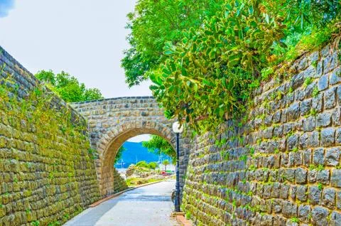 The tiny bridge 스톡 사진