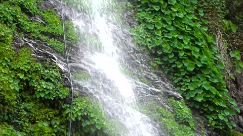 Tiny bright waterfall shining &amp; falling in the dark forest background. Video stock 278545054
