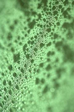 Tiny Bubbles on a Colour Background Condensation Green Steam Water Stock Photos