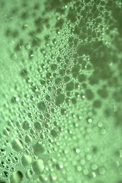 Tiny Bubbles on a Colour Background Condensation Green Steam Water Stock Photos