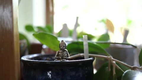 Tiny Buddha in focus with a man in the background doing various house chores Видео 278482818