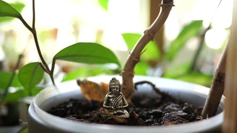 Tiny Buddha in focus with a man in the background doing various house chores Vidéo 278482819