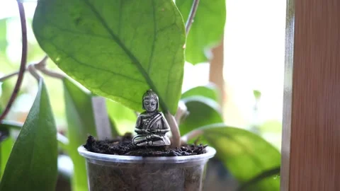 Tiny Buddha in focus with a man in the background doing various house chores Vidéo 278482821