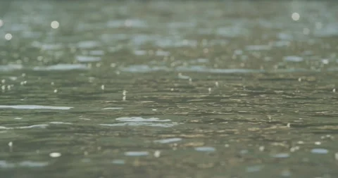 Tiny bugs dance on the surface of a flowing river Video stock 259868165