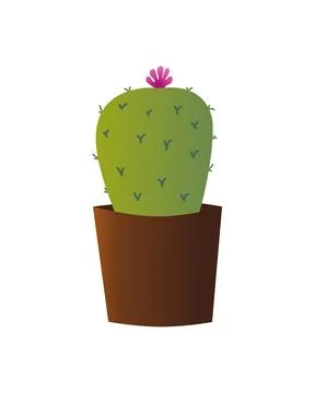 Tiny Bulbous Cactus with Flower Stock Illustration