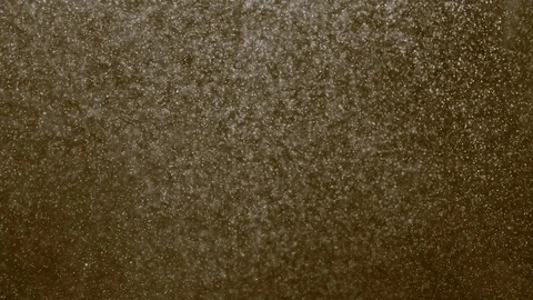 Tiny Champagne Bubbles Stock Footage 97706947