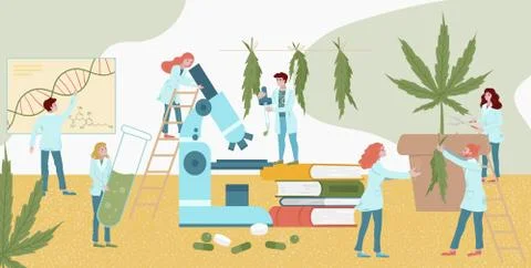 Tiny character lab medicines plant research cannabis, male female analysis Stock Illustration
