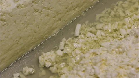 Tiny cheese bits from the processing Video stock 86250184