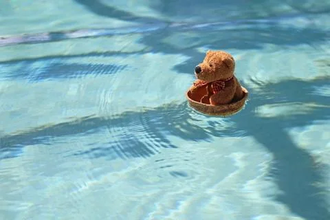 Tiny Child's Teddy Bear Floating in a Coconut Boat in Swimming Pool Water Stock Photos