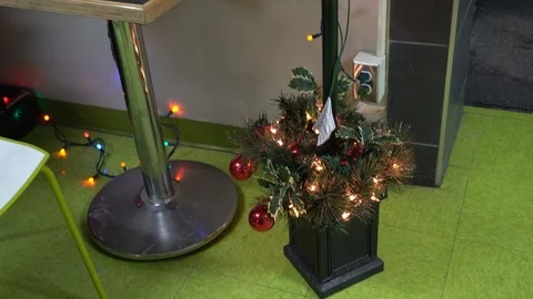 Tiny Christmas Tree 스톡 동영상 122244941