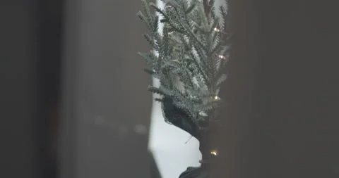 Tiny Christmas tree on windowsill Stock Footage 147747715