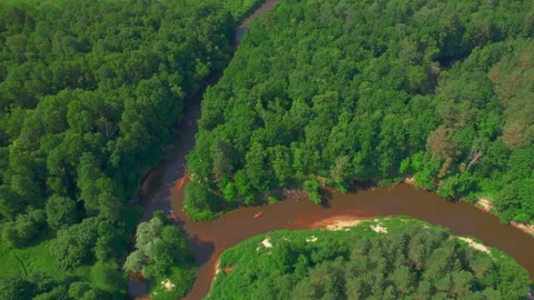 Tiny colorful kayaks navigate horseshoe river bend inside vast green forest Stock Footage 342079617
