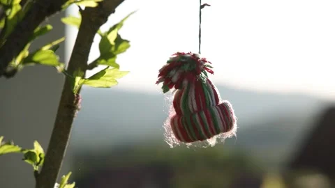 A tiny, colorful knitted cap hangs from a tree branch, glowing in the bright Stock Footage 334246248