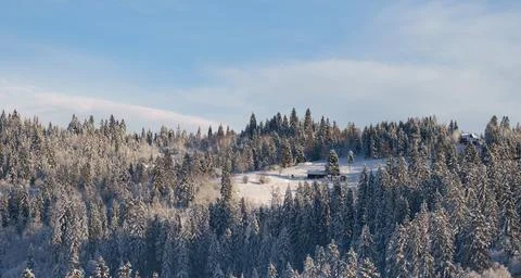 Tiny cottage hidden in snowy forest on Carpathian mountains in Ukraine Stock Photos
