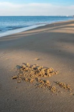 Tiny Crab Burrows and Tracks in Beach Sand on Phu Quoc Island, Vietnam 스톡 사진