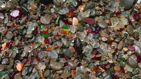 A tiny crab crawls over sea glass on Glass Beach 動画素材 341073579