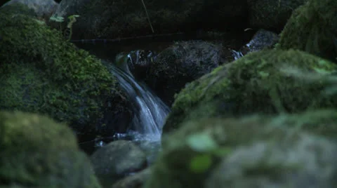 Tiny creek falls Stock Footage 23390853