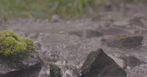 A tiny creek flowing on a rocky bed in a foggy morning Stock Footage 149982416