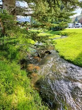 Tiny creek Stock Photos