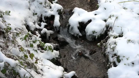 A tiny creek in winter snow as water cascades over a few rocks with icicles Stock Footage 229408453