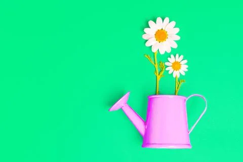 Tiny Daisies in a Miniature Watering Can on Green Stockfoto's