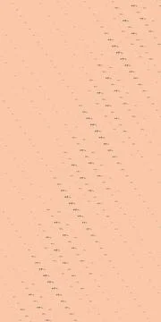 Tiny dark bird tracks sweep diagonally across a warm peach field, suggestin.. Stock Illustration