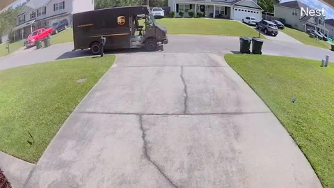 Tiny Dog Tries to Join UPS Delivery Driver Mid-Route, Long county, Georgia, USA  Video stock 331883672