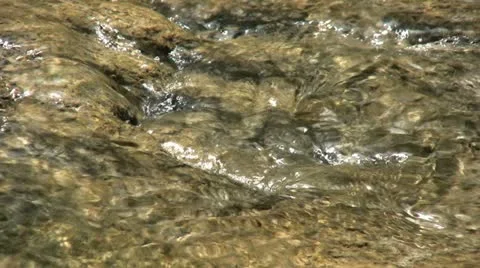 Tiny Eddy In A Babbling Brook 스톡 동영상 11131885