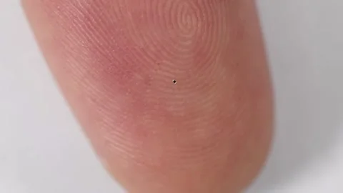 Tiny electronic component on fingertip Vidéo 347981396