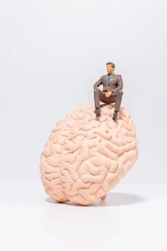 Tiny Executive Figure on Brain Symbol Stock Photos
