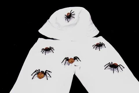 Tiny Fake Spiders On Hat And Pants Stock Photos